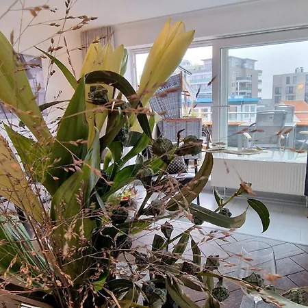 Maren Apartament Sankt Peter-Ording